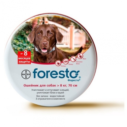 Foresto (Bayer) kutyáknak 8 kg-tól 70 cm-ig
