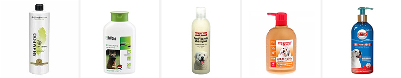 Rating of the best shampoos for dogs