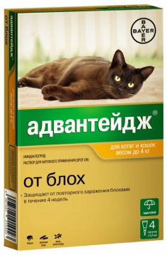 Bayer Advantage kissanpennuille ja kissoille, joiden paino on enintään 4 kg