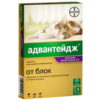 Bayer Advantage for large cats