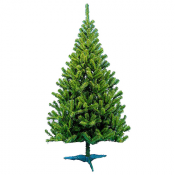 Árvore de Natal do czar Spruce Angelica