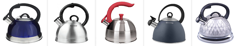 Rating of the best teapots for the stove